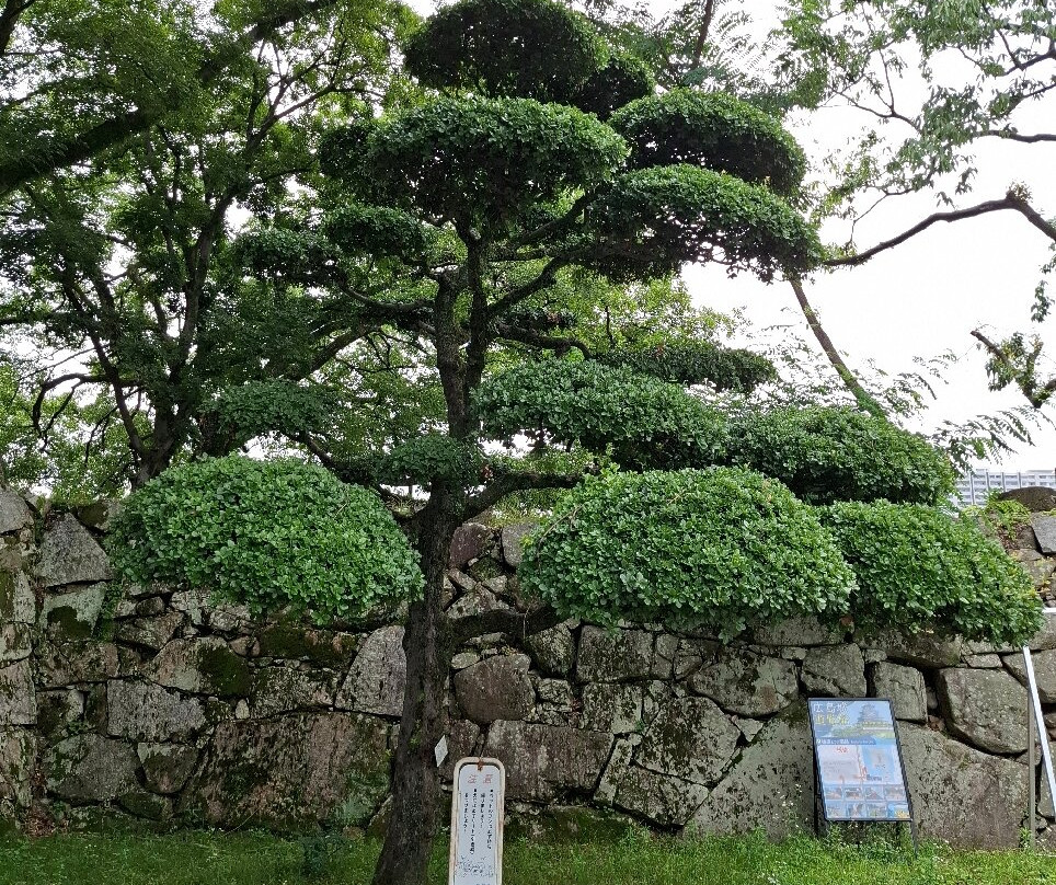 广岛城-广岛市必去景点