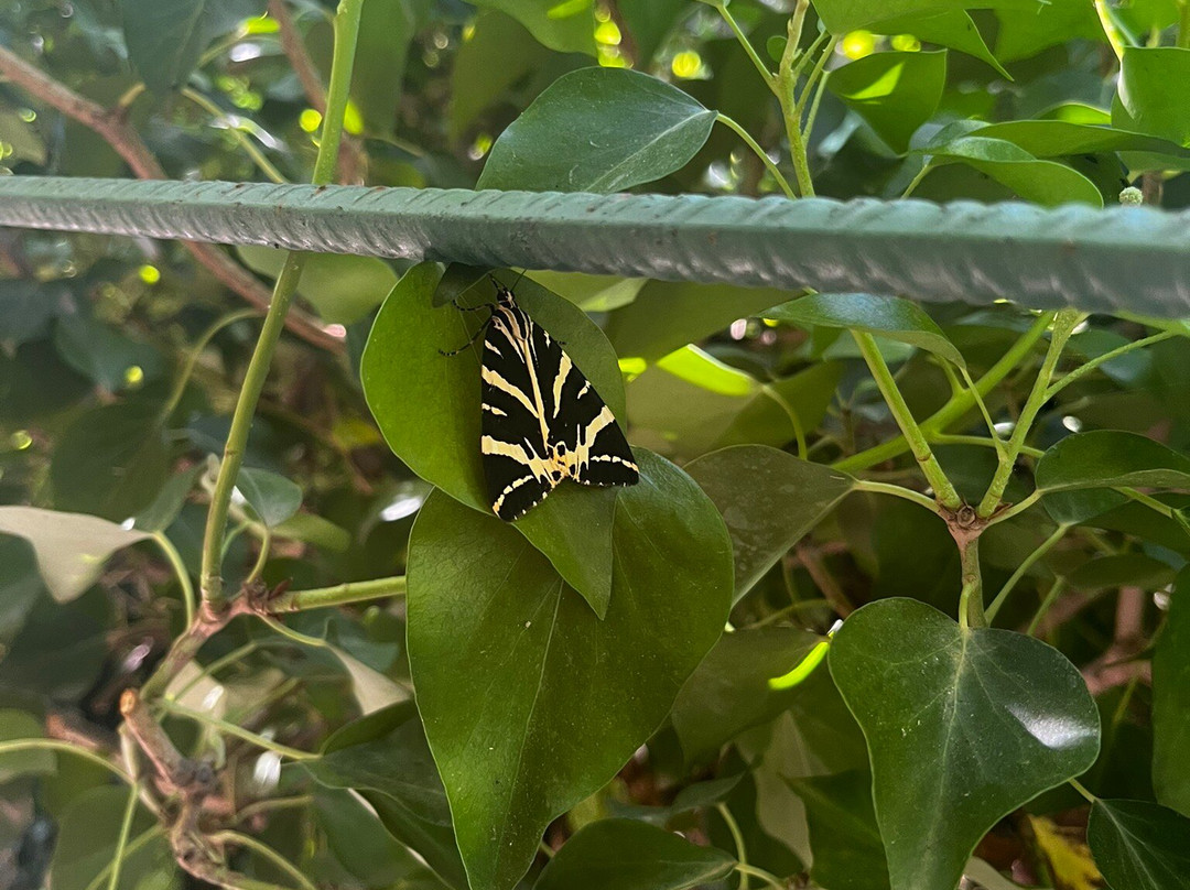 Butterflies Nature Reserve-帕罗斯岛必去景点