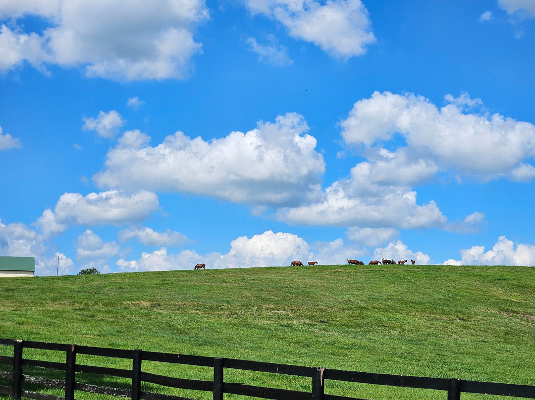 Runnymede Farm-Paris必去景点