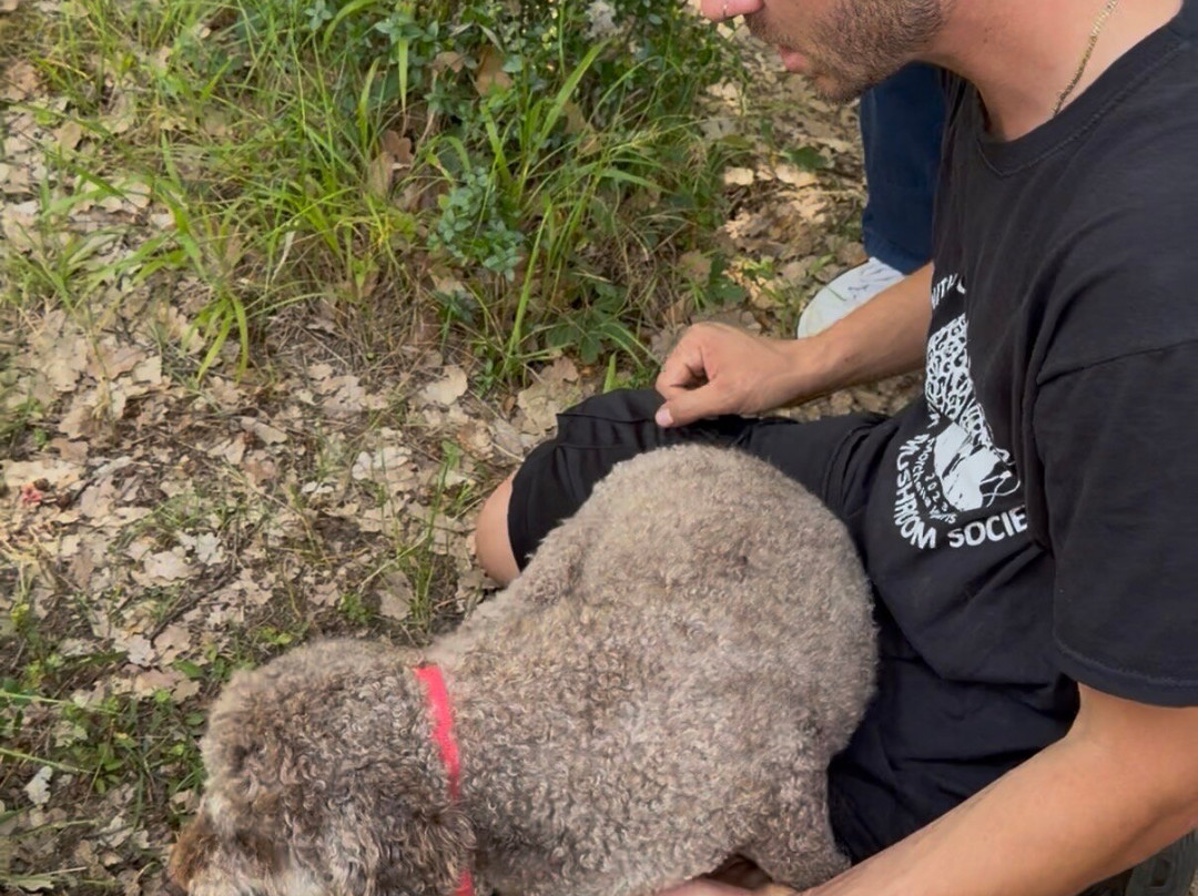 Truffle Hunting-卡兰巴卡必去景点