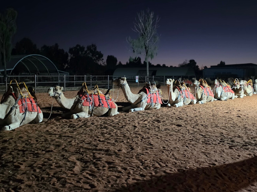 Uluru Camel Tours-尤拉拉必去景点