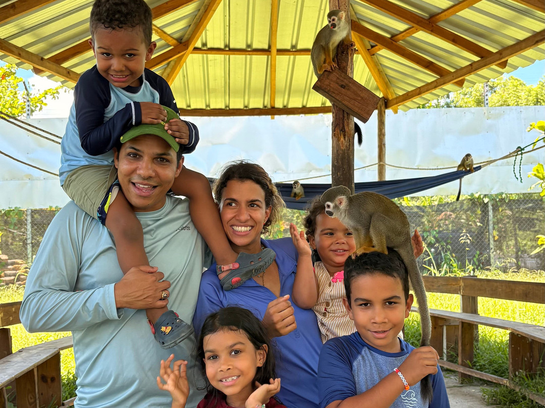 Monkey Home Puerto Plata-普拉塔港必去景点