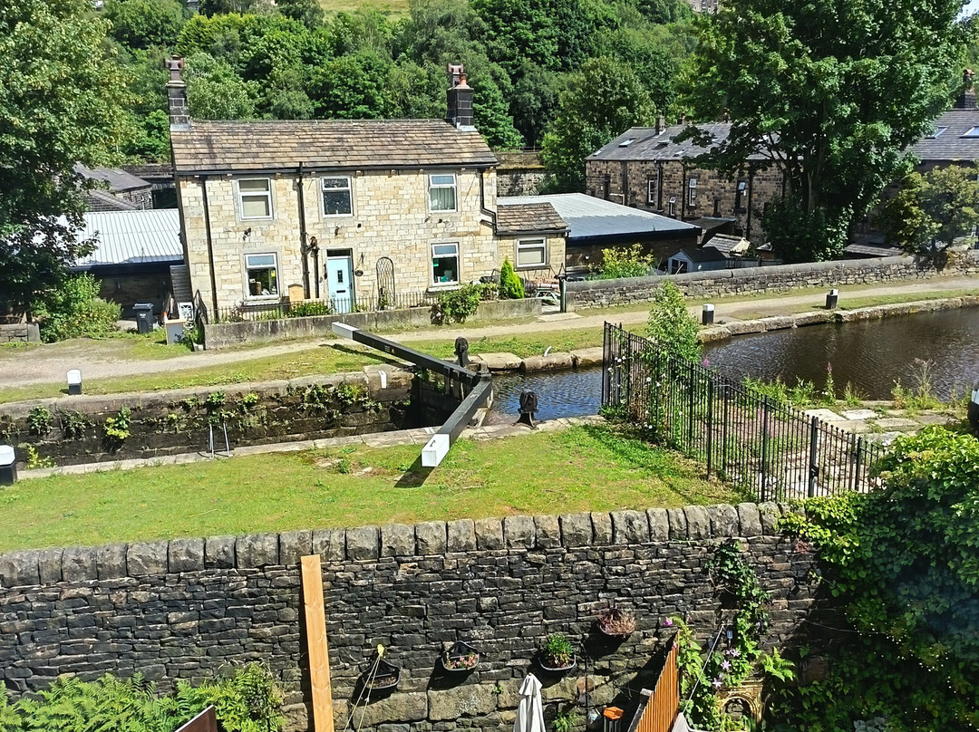 Todmorden Bed & Breakfast - The Toothless Mog
