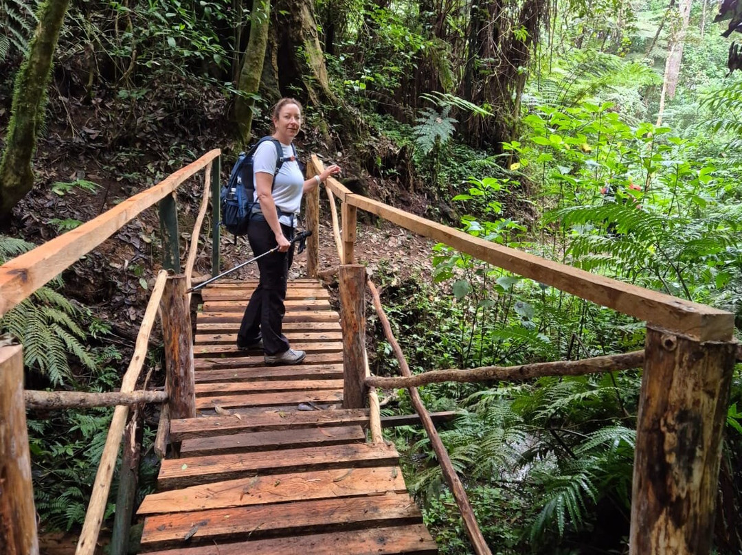Usambara Eco Tours-卢绍托必去景点