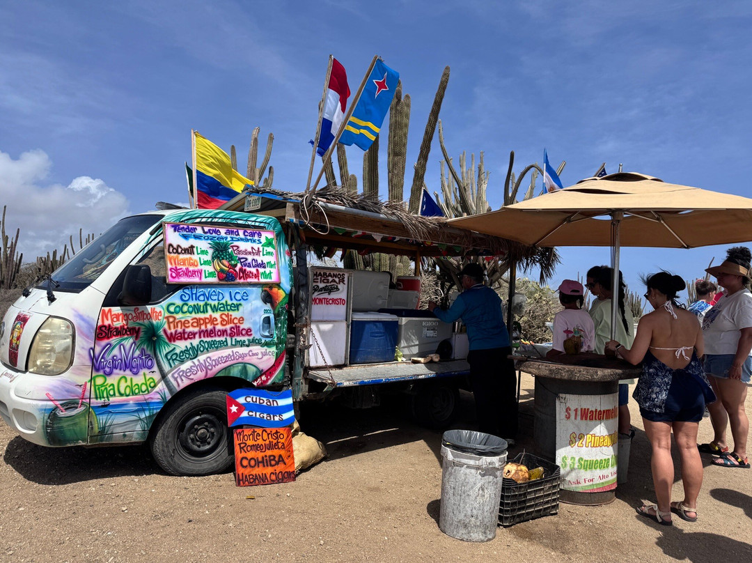 ABC Tours Aruba-奥腊涅斯塔德必去景点