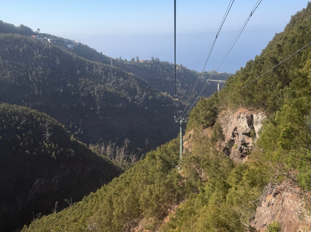 Botanical Garden Cable Car-沙尔必去景点