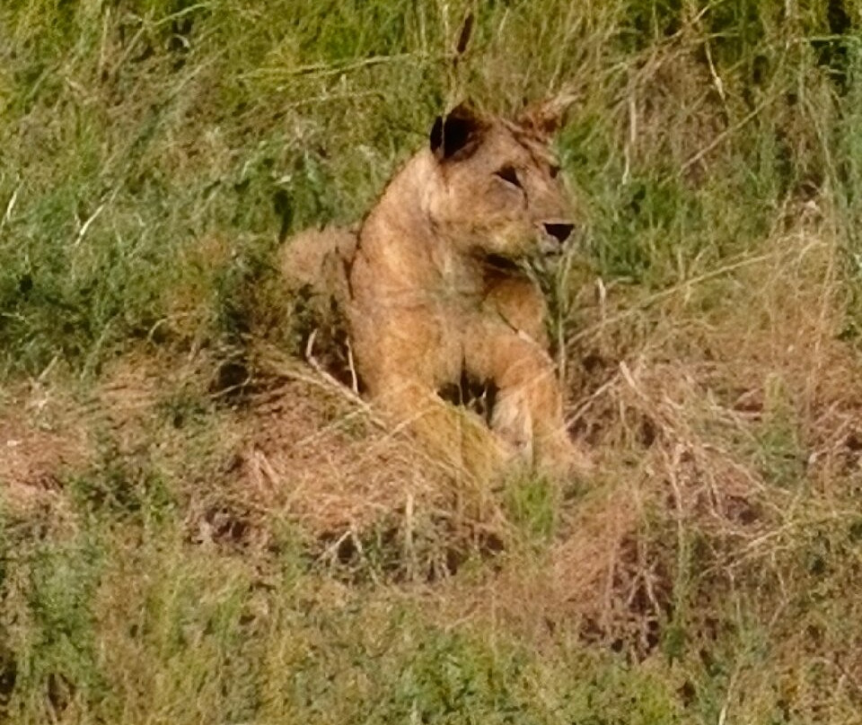 Tarangire National Park-塔兰吉雷国家公园必去景点