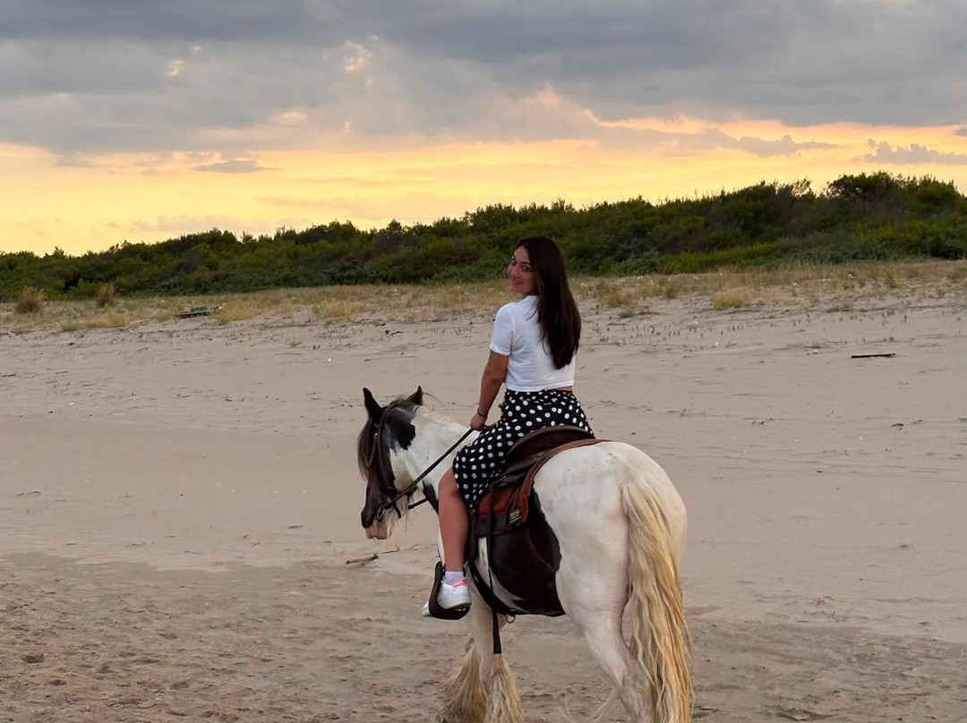 Family Horses 373-5361953-Marina di Ginosa必去景点