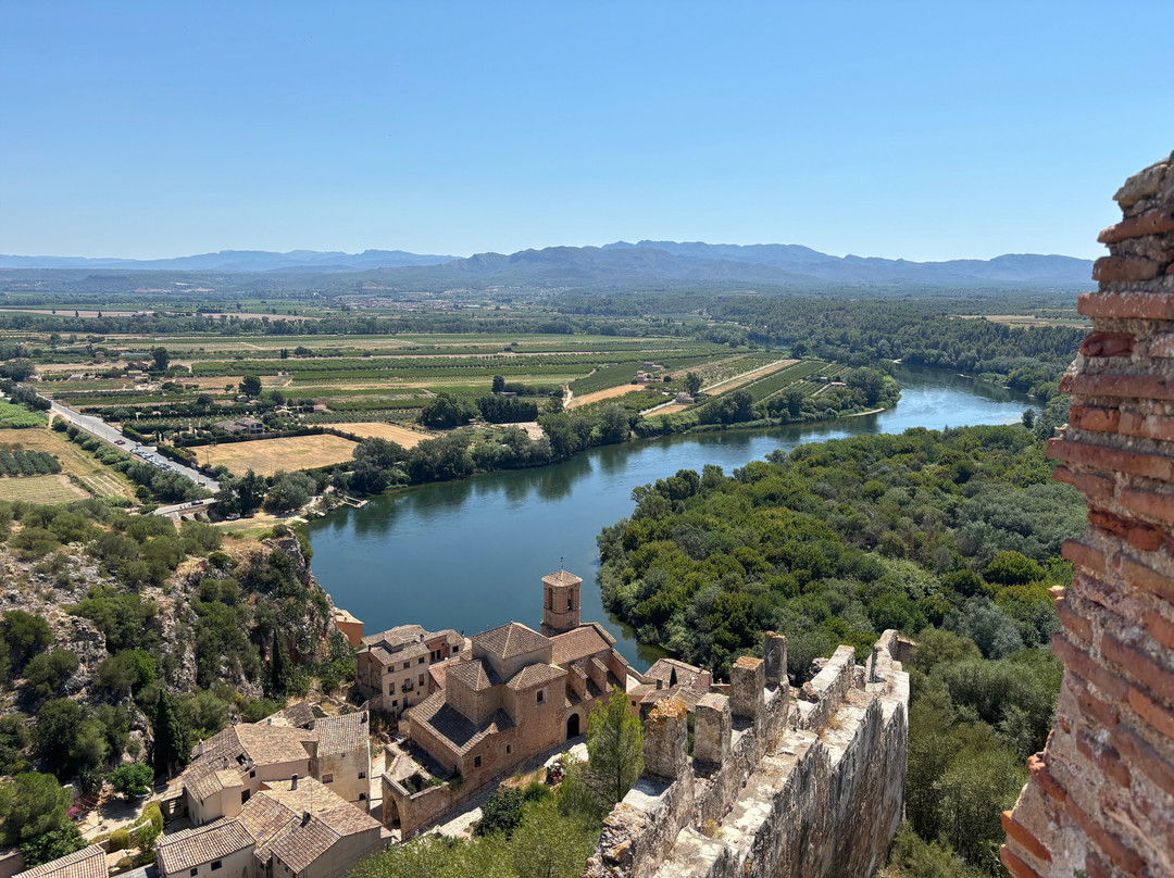 Miravet Castle (Castillo de Miravet)-Miravet必去景点