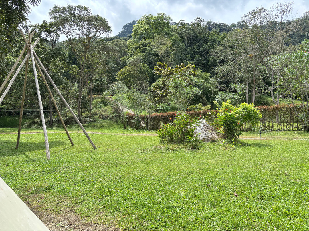Bosque De Aventura & Glamping