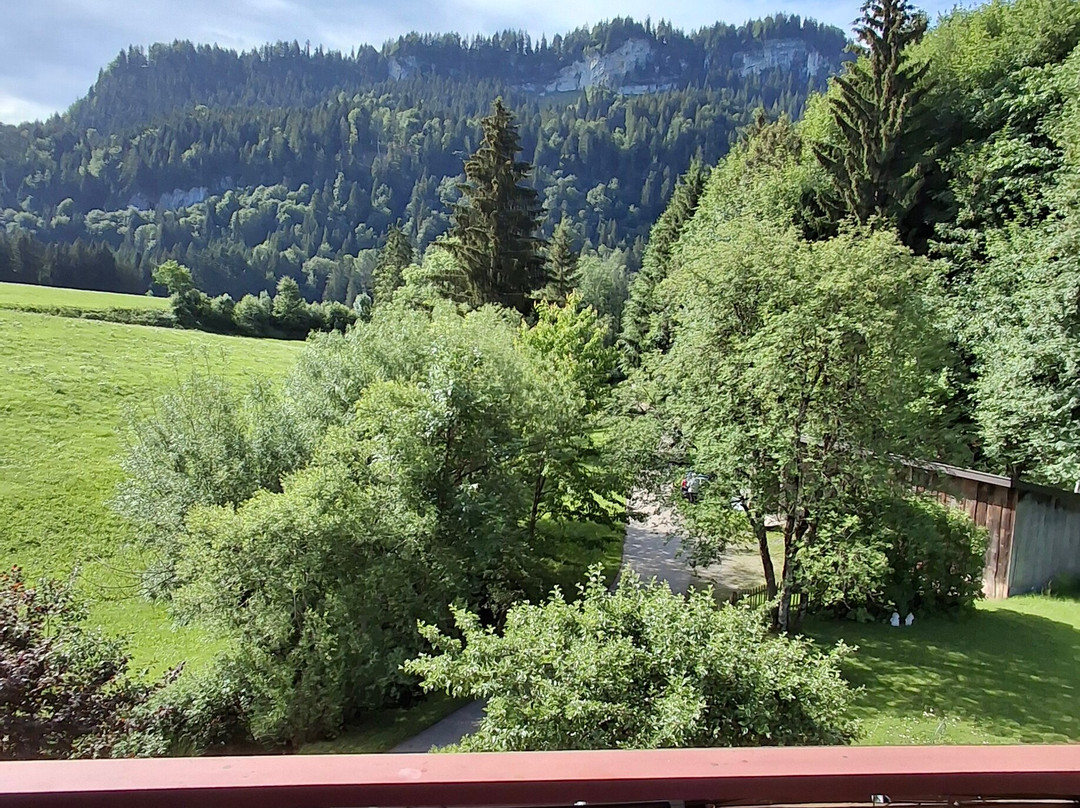 Pension Forelle