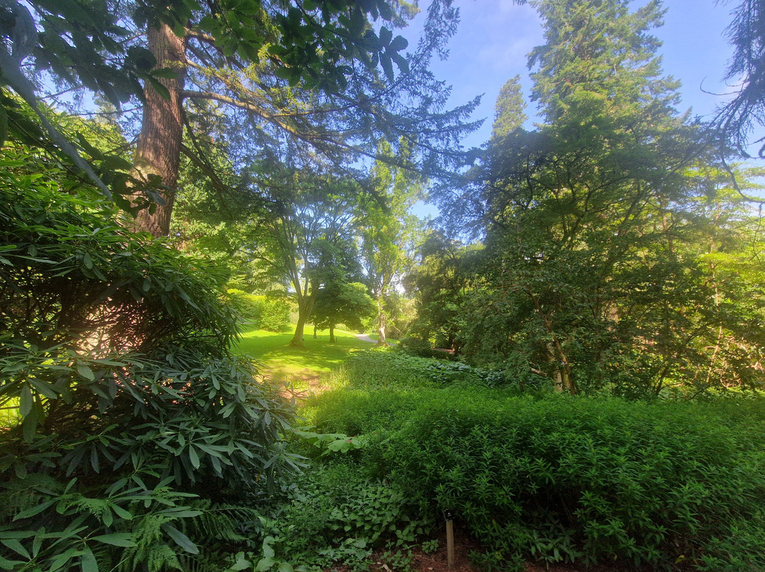 Dawyck Botanic Garden and Cafe-皮布尔斯必去景点