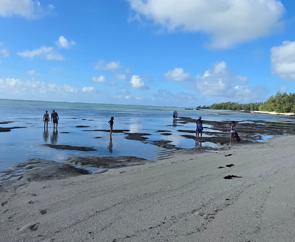 Mr Ro Mauritius Tours-波特弗拉克必去景点