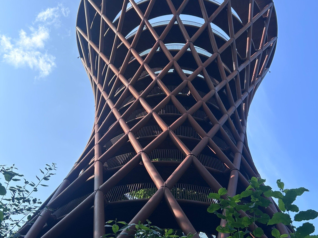 Forest Tower-Roennede必去景点