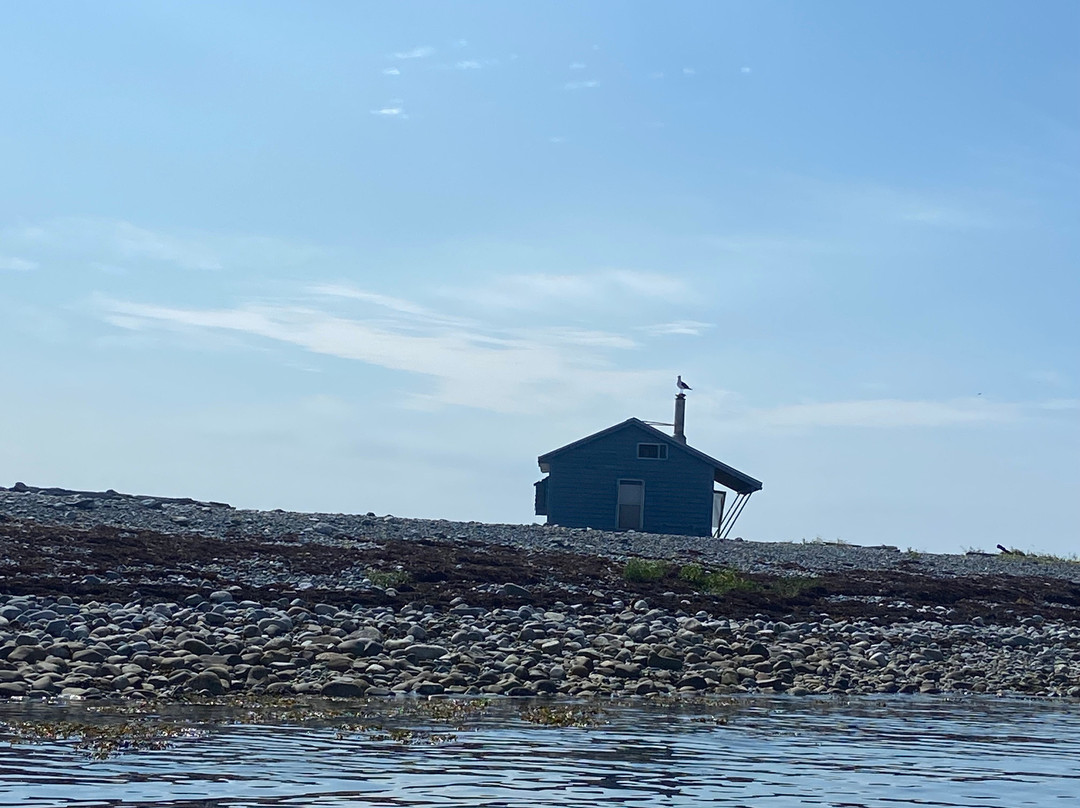 Liverpool Adventure Outfitters-Brooklyn必去景点