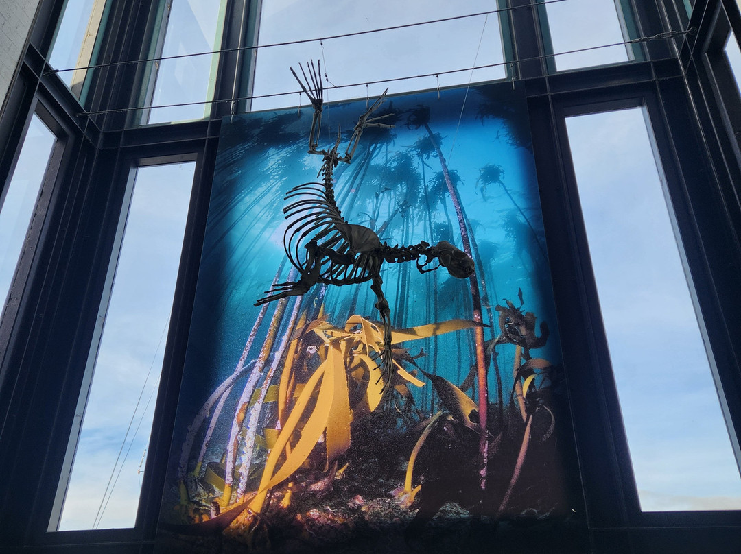 Two Oceans Aquarium-开普敦中心区必去景点