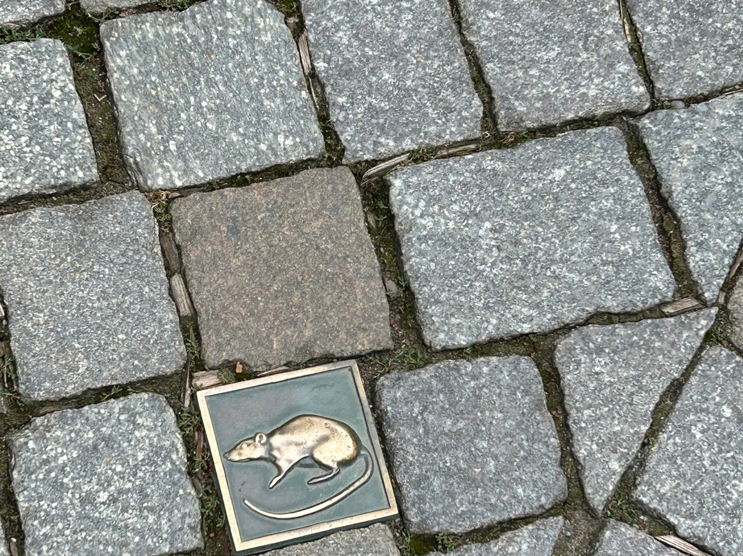 Museum Hameln-哈默尔恩必去景点