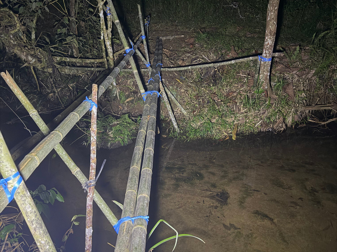 砂劳越婆罗洲萨洛玛民宿主图