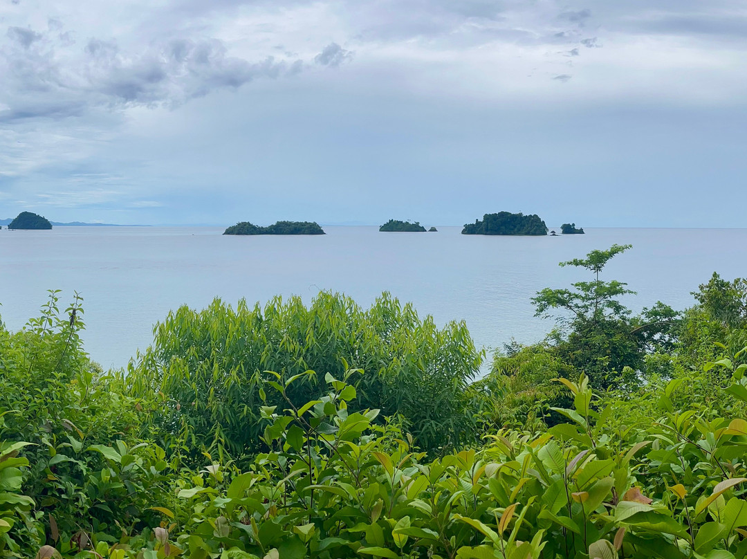 Isla Santa Catalina-Santa Catalina必去景点