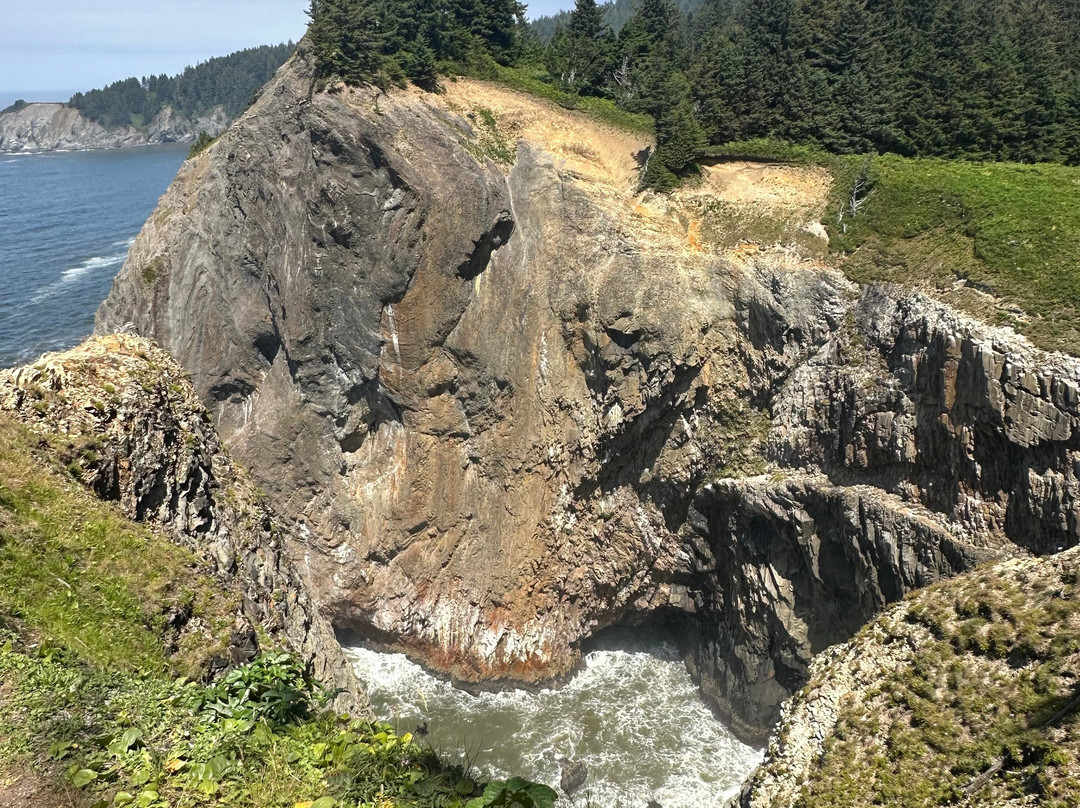 Oswald West State Park-坎农比奇必去景点
