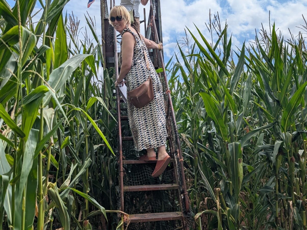 Elton Farm Maize Mazes-Newnham-on-Severn必去景点