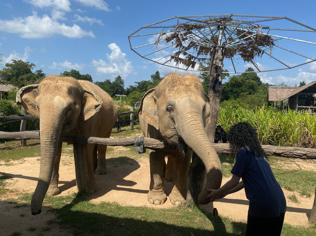 Siem Reap Private Tours-暹粒必去景点