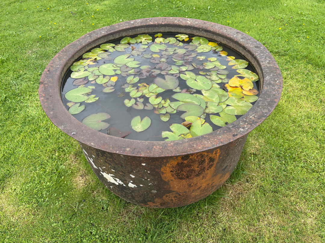 Woodville Walled Garden-Kilchreest必去景点