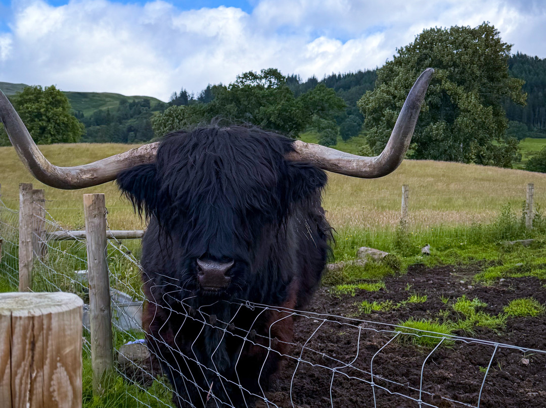 King Tours Scotland - Private Day Tours-爱丁堡必去景点
