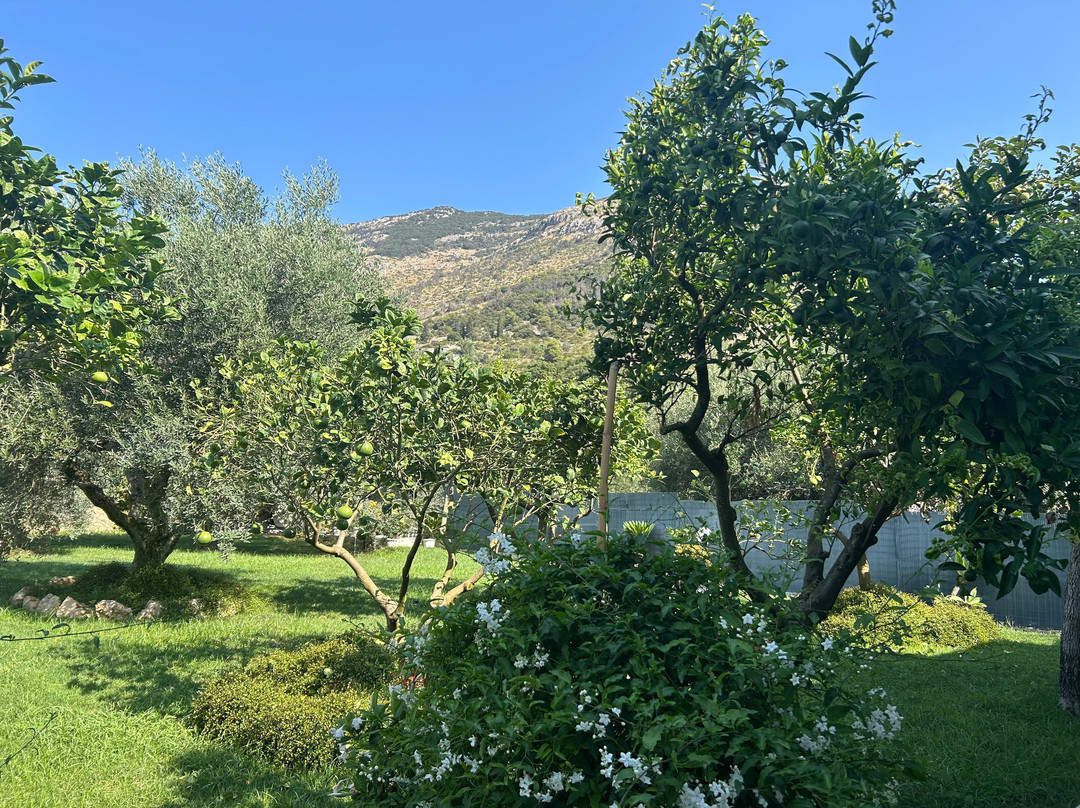 B&B Il Suono della Campagna主图