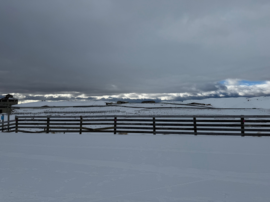 Snow Farm NZ-瓦纳卡必去景点
