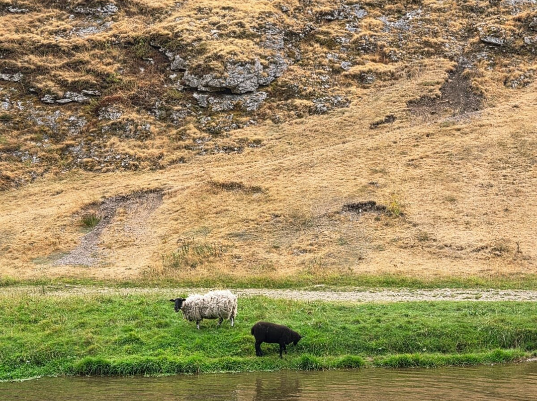 Dovedale Stepping Stones-Thorpe必去景点
