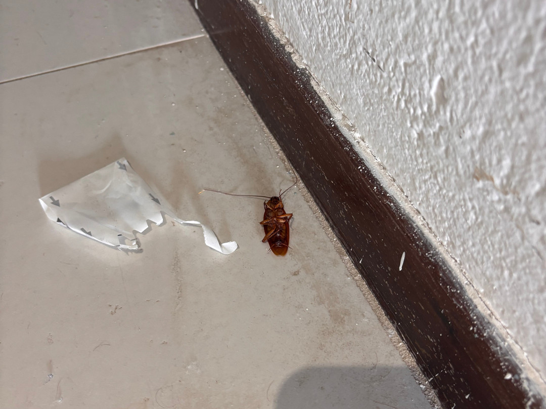 克里特阳光海滩酒店主图
