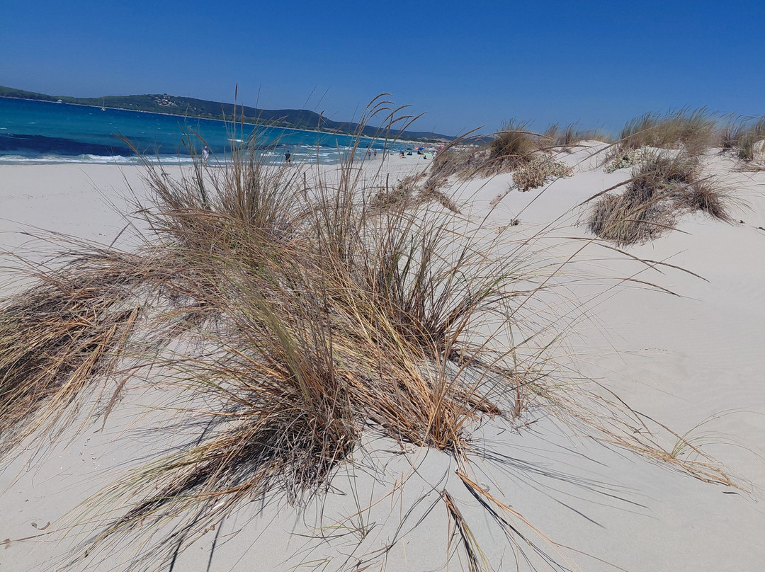 Spiaggia Is Arenas Biancas-Teulada必去景点