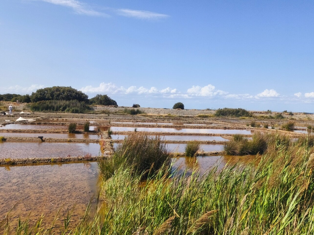Salines de Truscat-Sarzeau必去景点