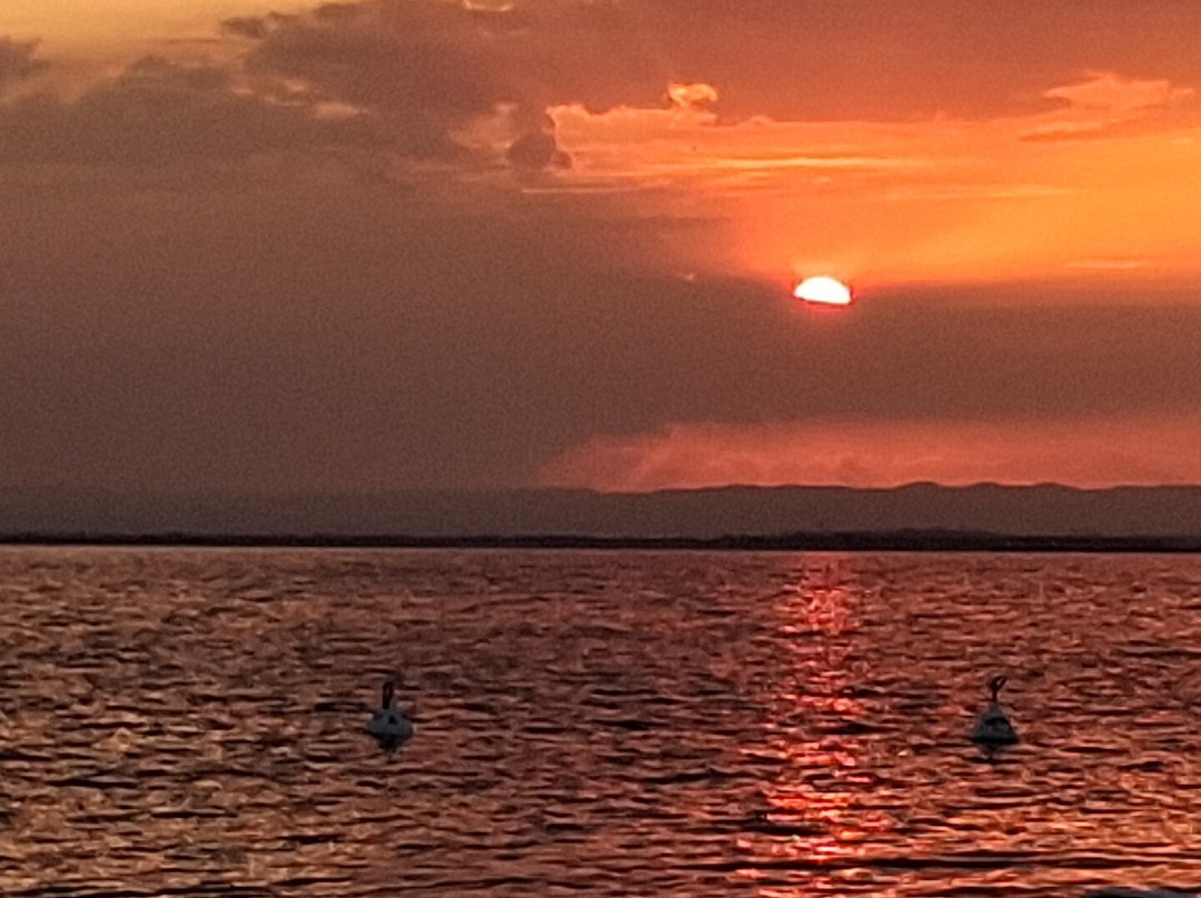 MIDI CAP THAU-Marseillan Plage必去景点