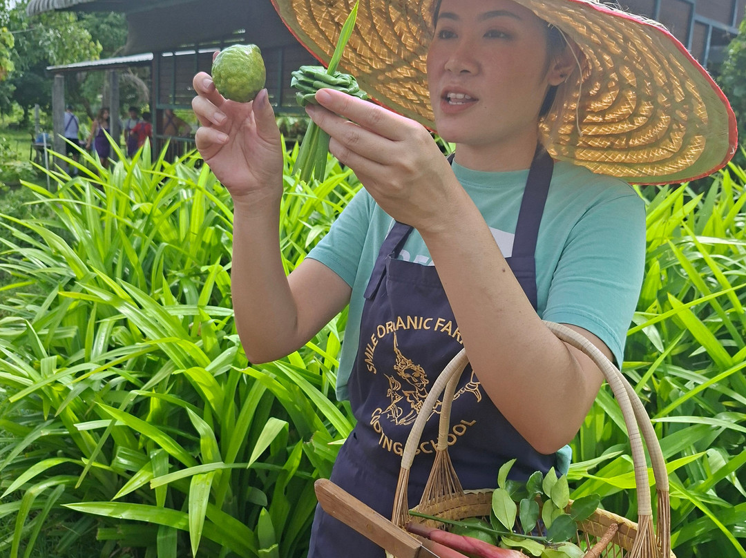 Smile Organic Farm Cooking School-清迈必去景点