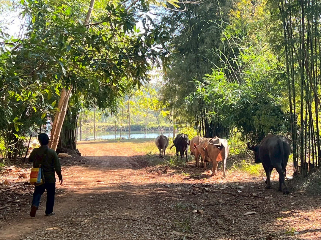 Longneck Karen Village-清莱必去景点