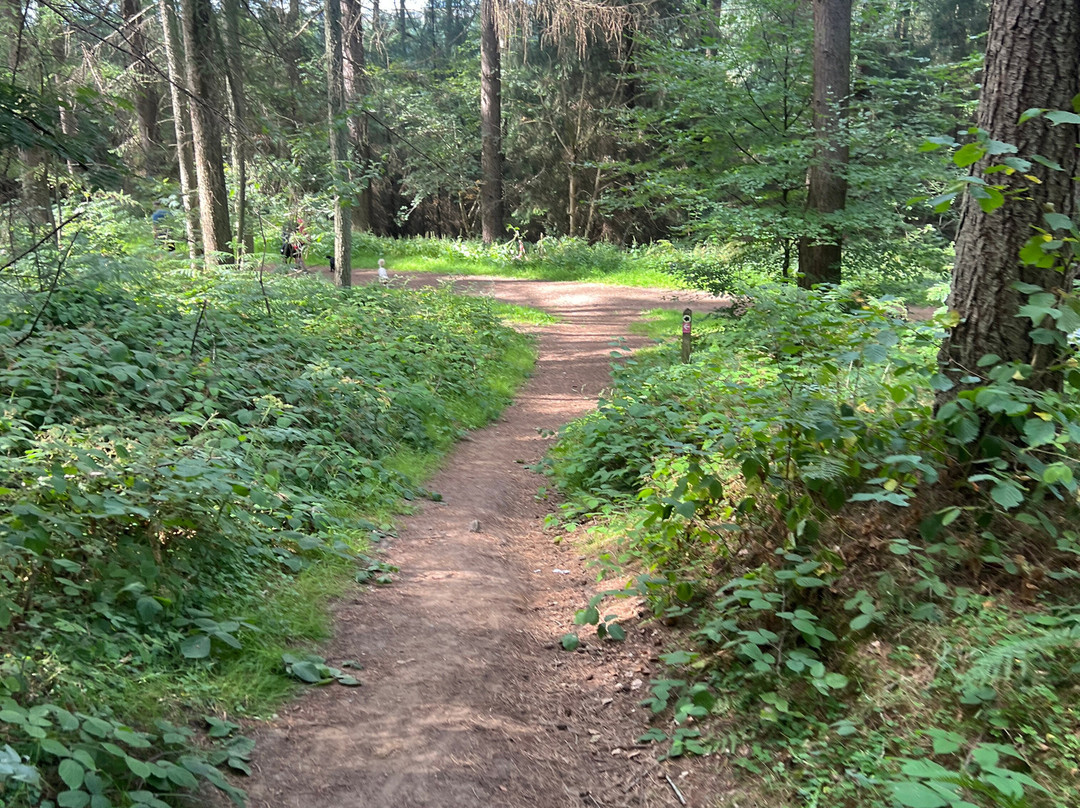 Dalby Forest-皮克灵必去景点
