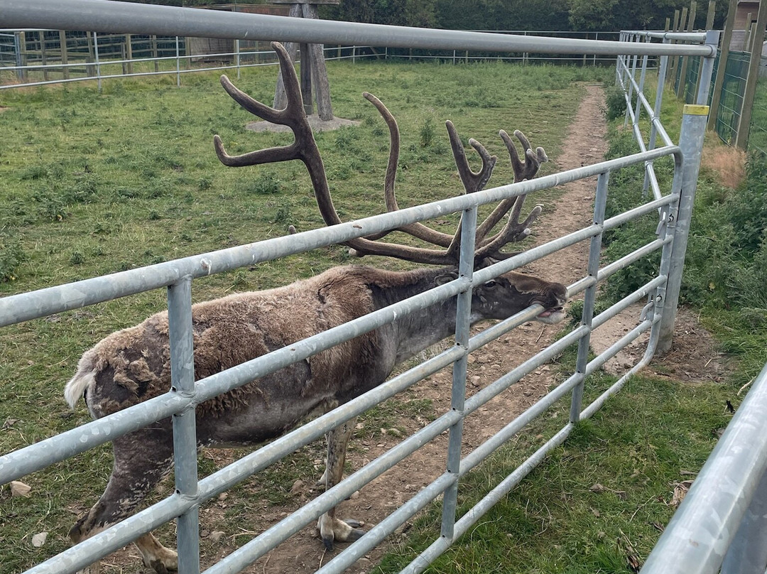 The Ark Open Farm-Newtownards必去景点