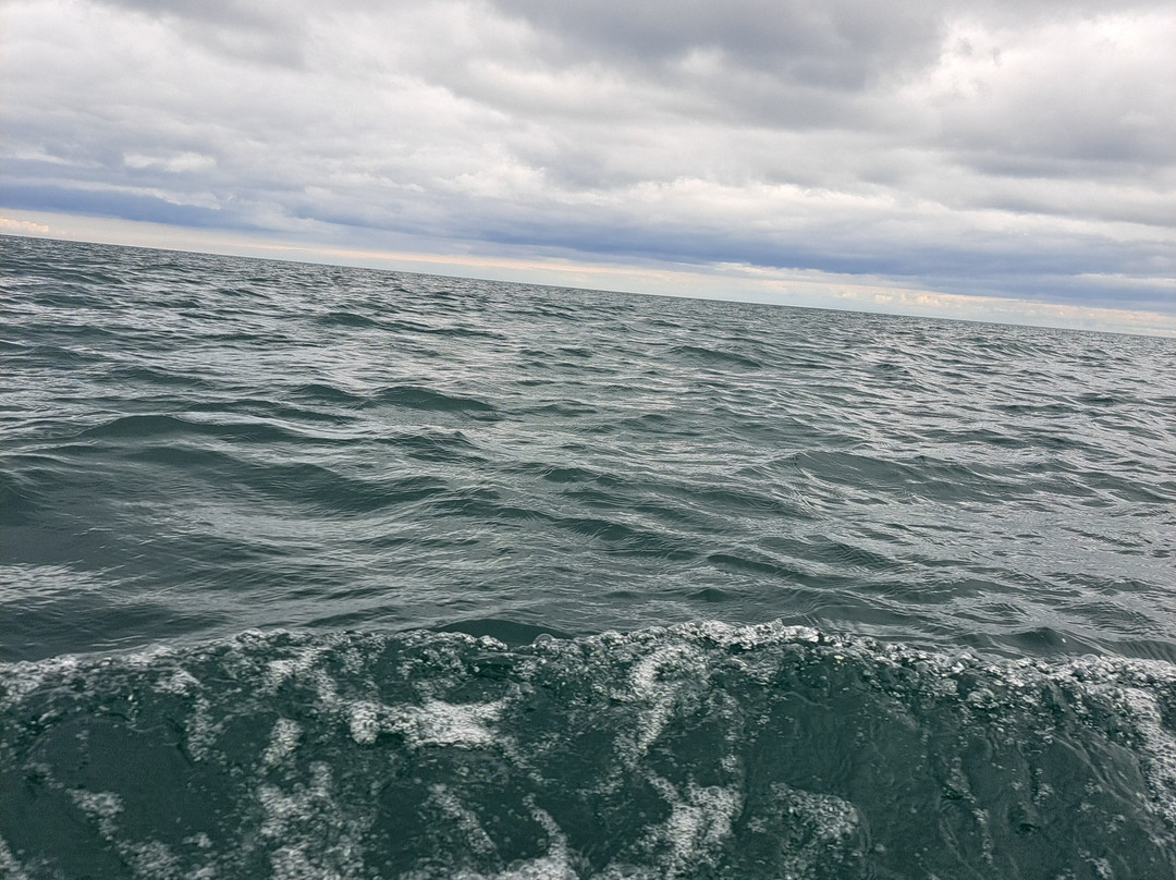 Carnlough Bay Boat Tours-Carnlough必去景点