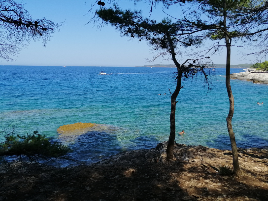 Plovanije Beach-Premantura必去景点
