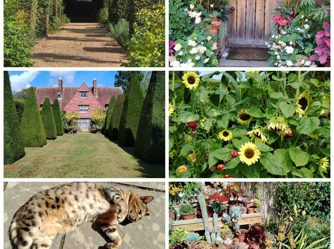 East Ruston Old Vicarage Garden-诺威奇必去景点