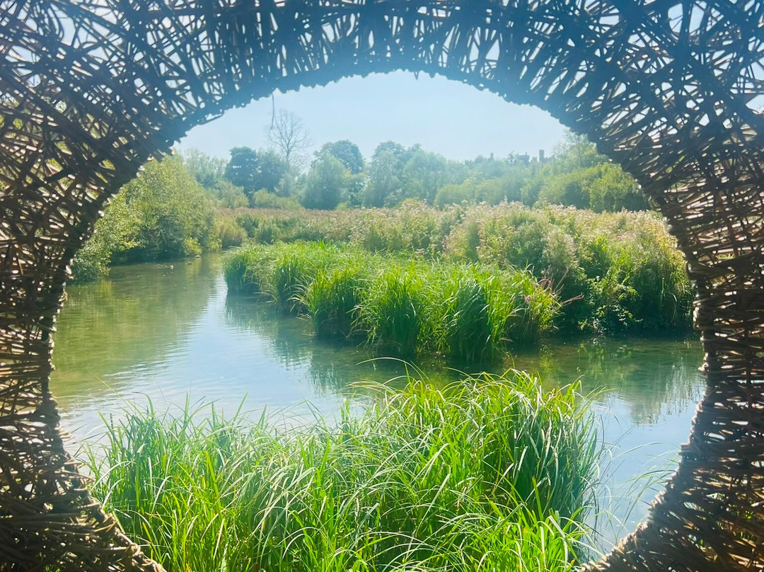 WWT Arundel Wetland Centre-阿伦德尔必去景点