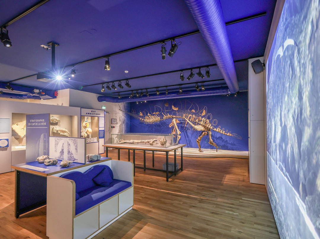 Muséum d'Histoire Naturelle-勒阿弗尔必去景点