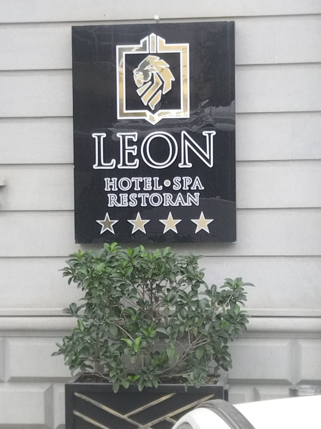 Leon Hotel Spa Ganja-旅行者