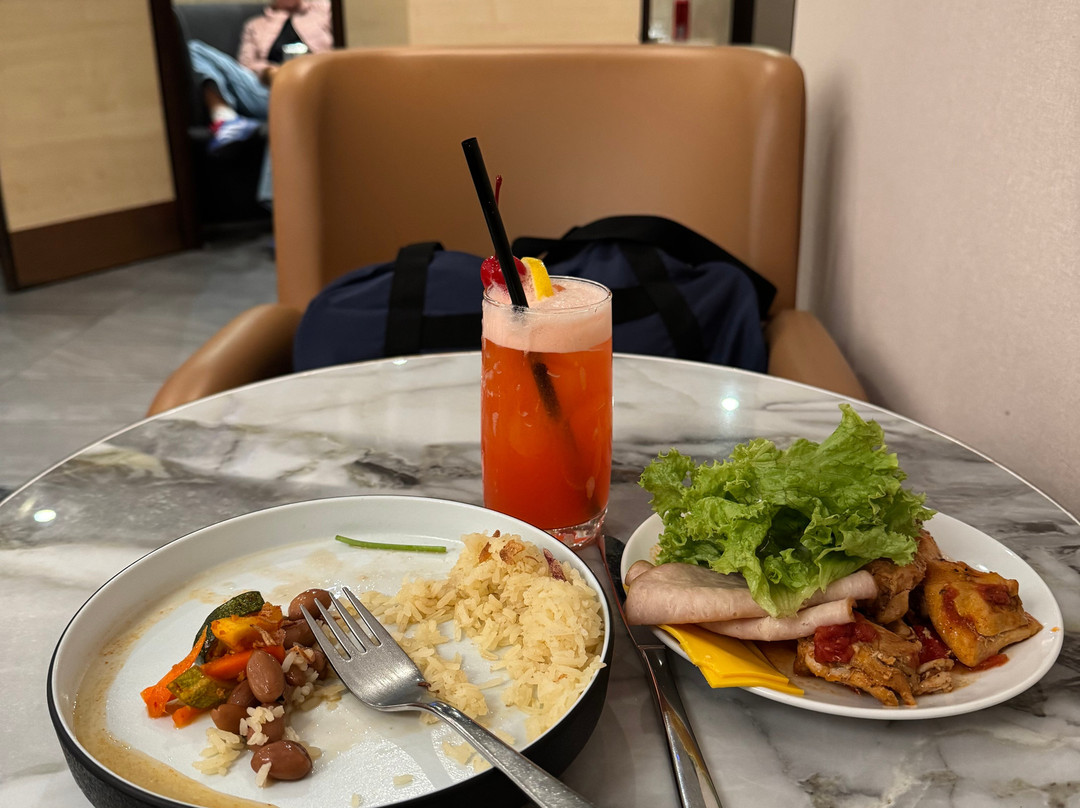 Plaza Premium Lounge (International Departures, Terminal 1)-新加坡必去景点