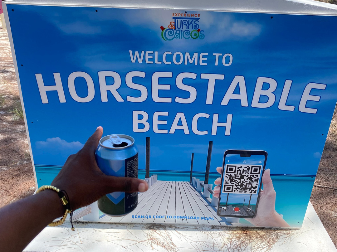 Caicos Dream Tours-普罗维登西亚莱斯必去景点