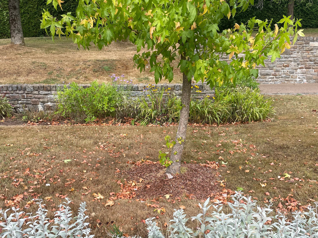Aberfan Disaster Memorial Garden-Aberfan必去景点