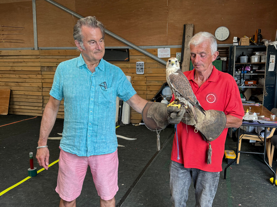 Perriswood Archery & Falconry Centre-Penmaen必去景点