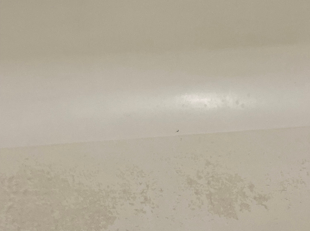 普韦布洛温德姆麦客达套房酒店主图